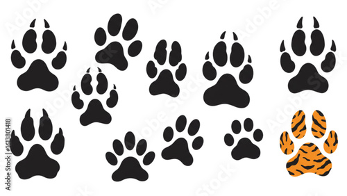 Wild animal paw prints trail with a tiger paw, fierce animal track design, powerful mammal footprint