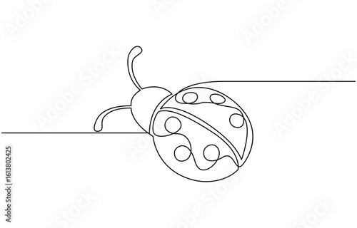  continuous one line ladybug illustration, Bug one line continuous. Line art bug isolated on transparent background. Hand drawn vector art.