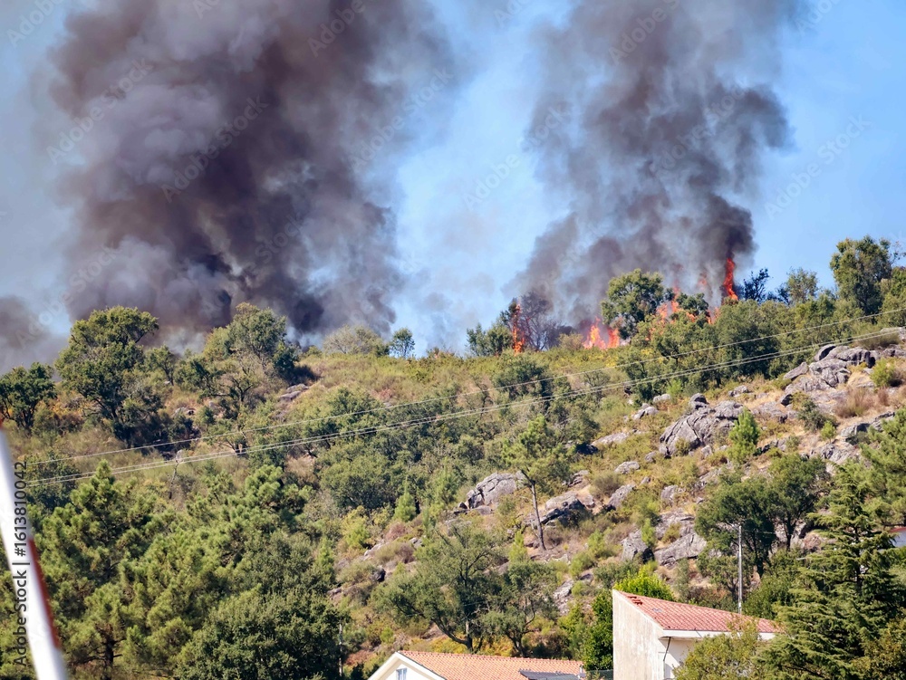 Fototapeta premium Orange Flames Rising from Drought-Stricken Forest