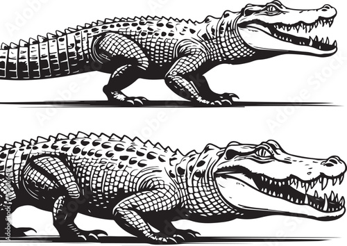 Black and white illustration of a phoenix silhouette isolated on transparent background