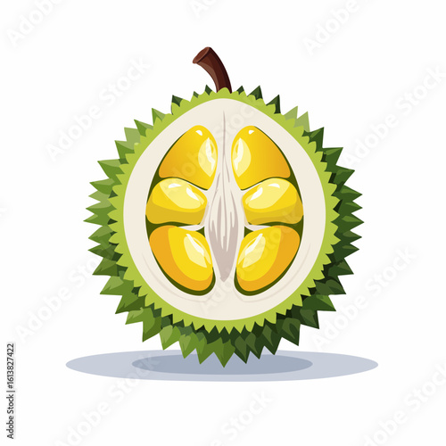 Open Durian Fruit with Yellow Flesh and Green Spiky Shell