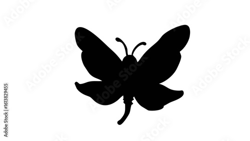 Silhouette of a butterfly with detailed wings and antennae against a white background in simple style