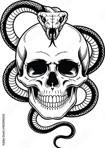 Snake wrapped around a human skull with open mouth