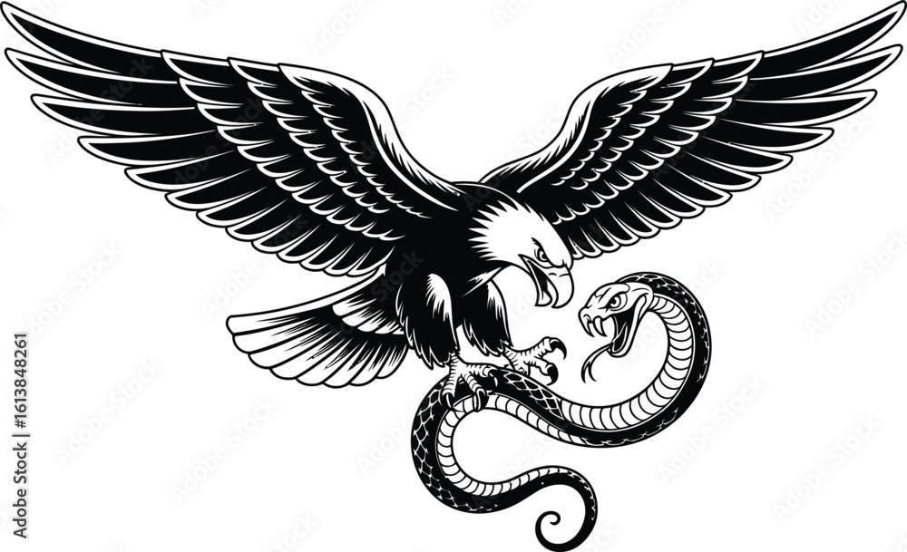 Obraz premium Eagle attacking a coiled snake bird reptile