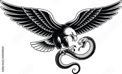 Eagle attacking a coiled snake bird reptile