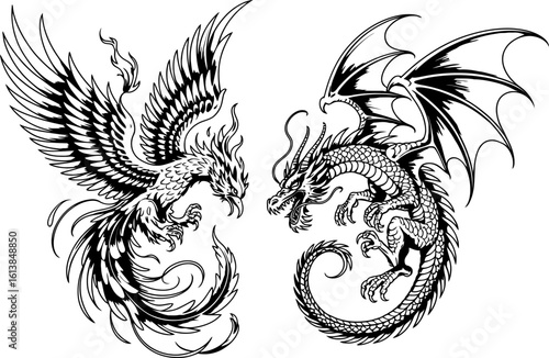 Dragon and Phoenix Fighting Illustration mythical creature