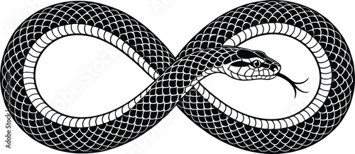 Snake Forming Infinity Symbol ouroboros reptile