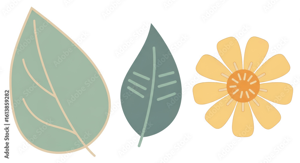 Fototapeta premium Isolated Flower and Leaves