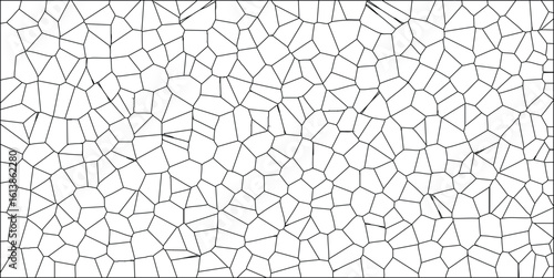 Abstract geometric pattern of irregular cells with black outlines on white background cellular structure design