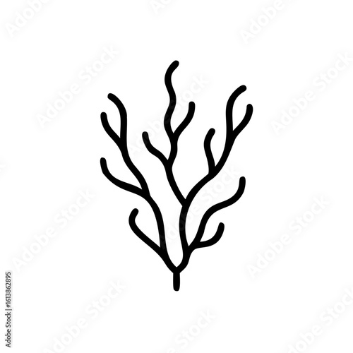 Silhouette branching seaweed strands on kelp marine
