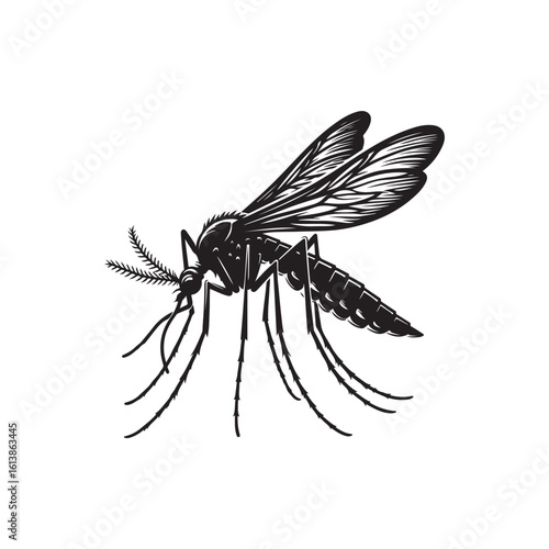 Mosquito Vector (1).eps