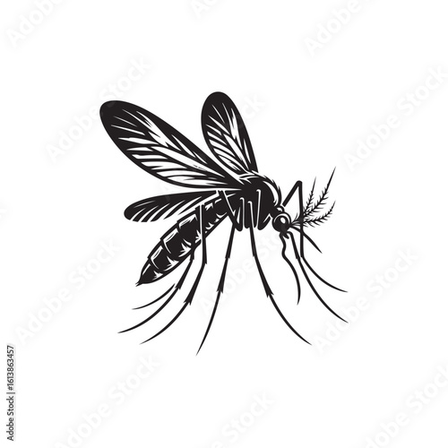 Mosquito Vector (4).eps