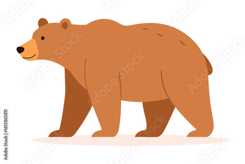 Niedźwiedź ilustracja
