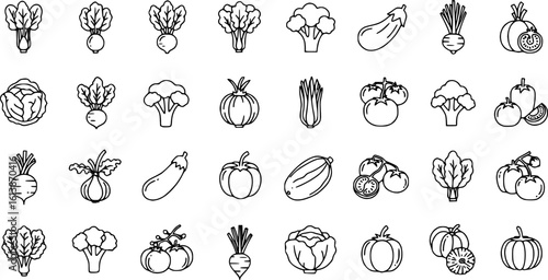 Set of vegetables Concept Thin Line Silhouette vector icons