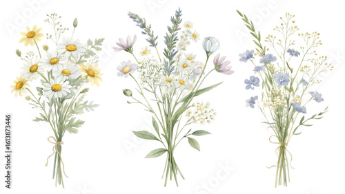 Fototapeta Naklejka Na Ścianę i Meble -  Three delicate watercolor bouquets of wildflowers and daisies tied with twine isolated on transparent background