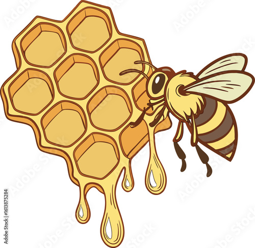 bee and honey insect hexagon sweet nature