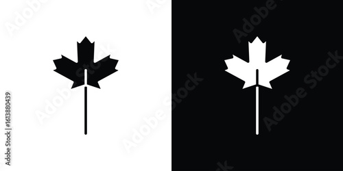 Maple leaf icon. graphic design vector symbols pack
