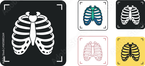 Rib cage anatomy medical illustration vector graphics