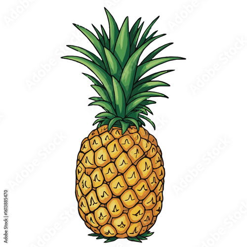 pineapple on white background