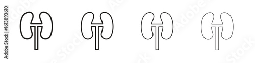 Kidney icon vector illustration, line design icon. Editable strokes.