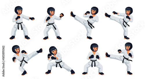 flat style illustration set of karate combat sports players in protective gear, executing dynamic kicks and punches, symbolizing martial arts training and self-defense