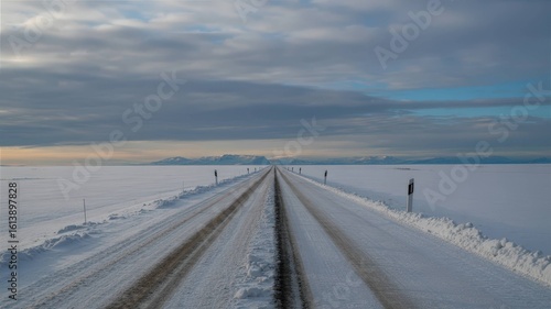 Empty Road Extending to Horizon Collection - Journey and Adventure Concepts