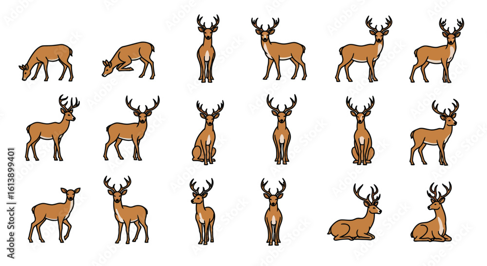 Fototapeta premium Collection of Brown Deer Illustrations in Various Poses