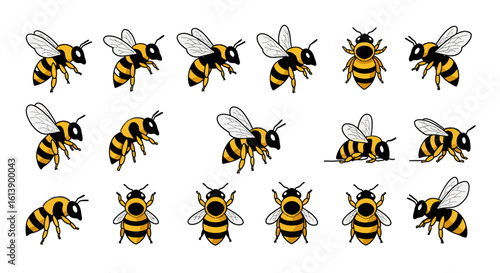 Cartoon Bees Collection: Yellow and Black Striped Insects with Delicate Wings