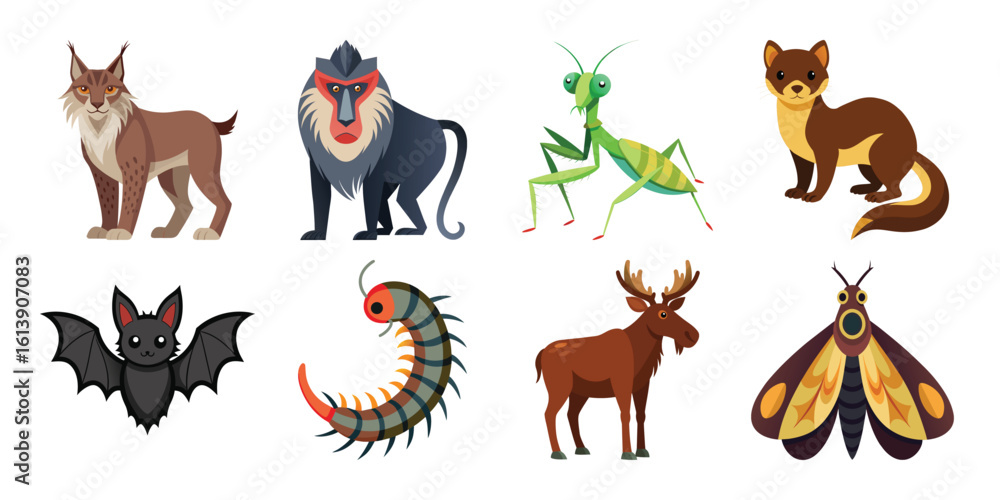 Fototapeta premium A Cute Vector Cartoon Animal Set: Lynx, Baboon, Praying Mantis, Weasel, Bat, Centipede, Moose, Moth; Flat Style Illustrations