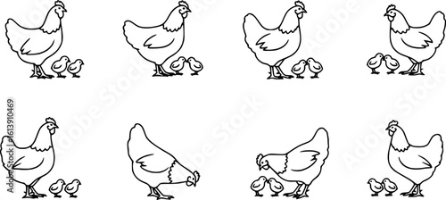 Chicken silhouettes set, large pack of vector silhouette design, isolated white background
