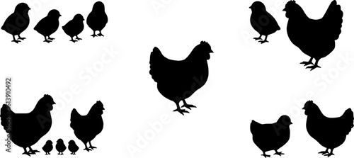Chicken silhouettes set, large pack of vector silhouette design, isolated white background