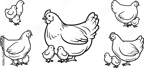 Chicken silhouettes set, large pack of vector silhouette design, isolated white background