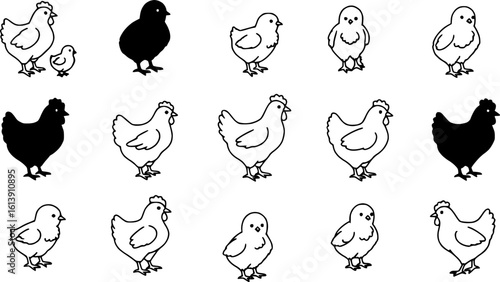 Chicken silhouettes set, large pack of vector silhouette design, isolated white background