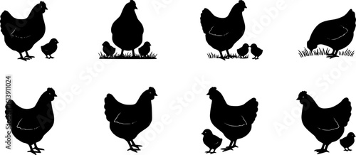 Chicken silhouettes set, large pack of vector silhouette design, isolated white background