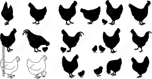 Chicken silhouettes set, large pack of vector silhouette design, isolated white background