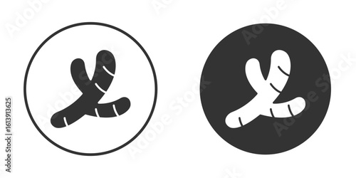 Ginger icon. sign designs. solid pictogram