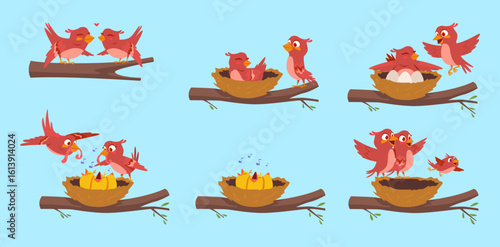 Birds family. Freedom concept characters birds mother father and kids in action poses exact vector pictures
