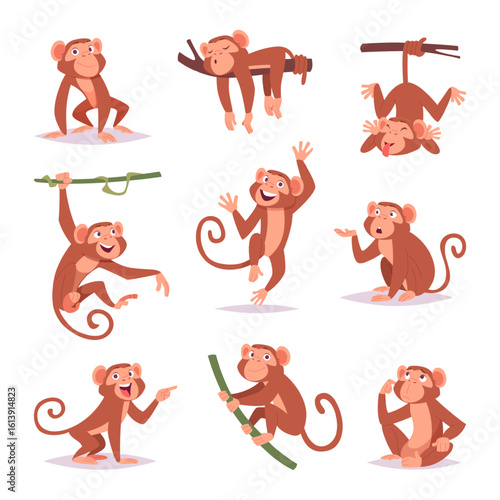 Monkey. Little funny animals wild monkey playing exact vector cartoon template