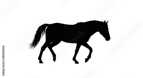 Elegant Horse Silhouette Walking Isolated on White Background for Design Elements