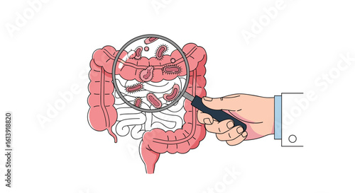 Detailed examination of the human digestive system for understanding intestinal health and potential issues
