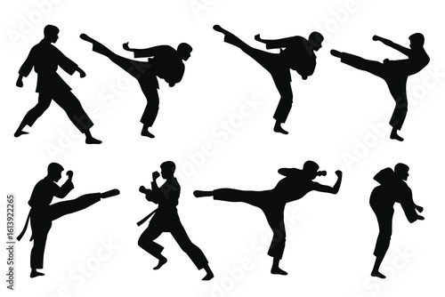 Silhouettes of martial arts fighters performing kicks and punches