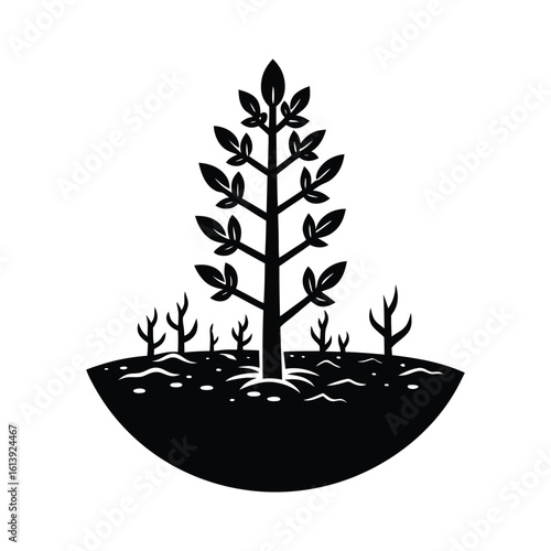 Coral Bean Thriving in Post Apocalyptic World
