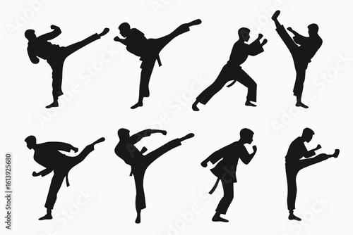 Collection of martial arts silhouettes demonstrating kicks and punches
