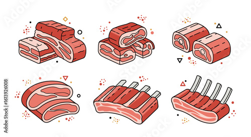 Various cuts of raw meat including pork belly pork ribs lamb chops and beef steaks illustration
