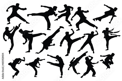 Dynamic silhouettes of martial arts fighters performing kicks and punches