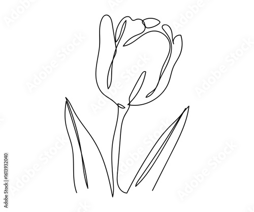 Continuous vector art line. Single flower only. Isolated transparent background. editable stroke.