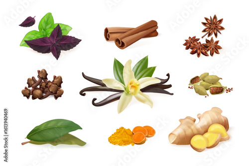 Realistic spices herbs. 3d cooking spice, ginger root clove cinnamon sticks star anise vanilla flower basil leaf kitchen herb aroma ingredients, exact isolated vector illustration