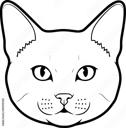 British shorthair cat head front view outline icon vector
