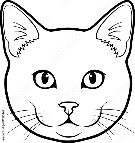 British shorthair cat head front view outline icon vector

