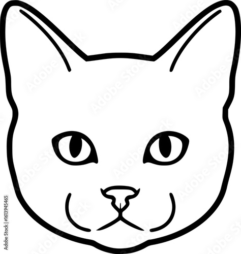 British shorthair cat head front view outline icon vector
